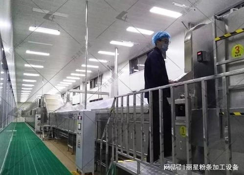 洋芋粉絲粉條機(jī)選購(gòu)指南 性能、服務(wù)、價(jià)格如何權(quán)衡，告別后悔選擇